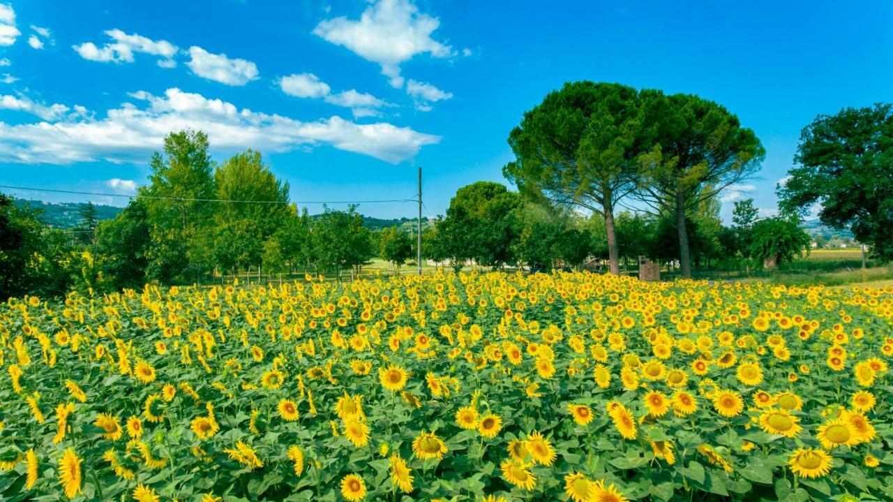 Villa Licinia Foligno Kültér fotó